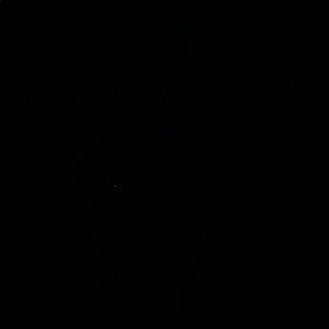 Meet your Posher, Benson